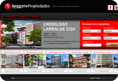 Desarrollo Profesional Roggero