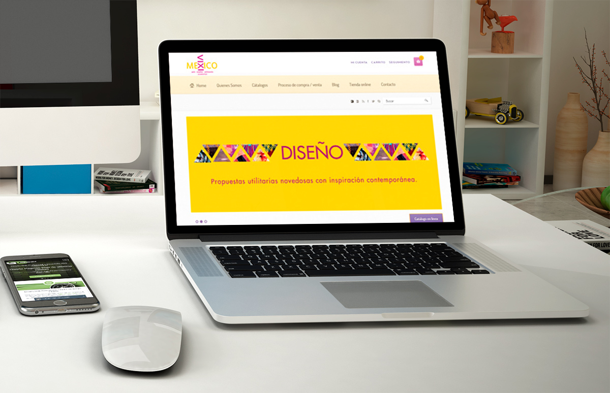 Desarrollo Pagina Web Vixi México