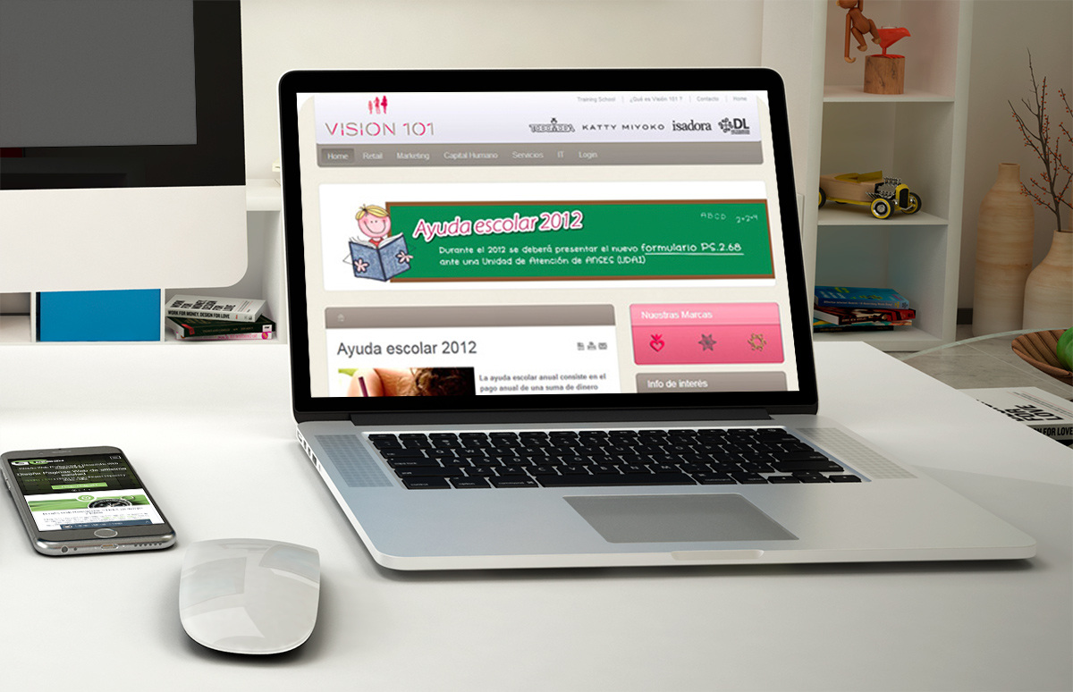 Diseño Web Vision 101